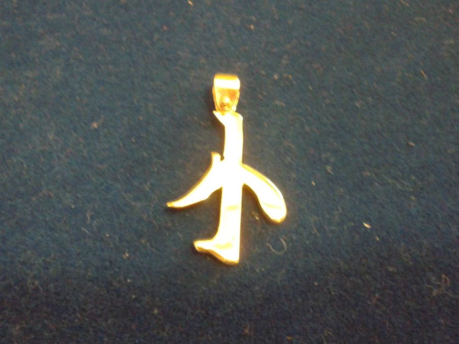 colgante plata letra china